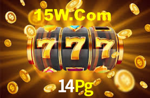 Premium Interface 14Pg